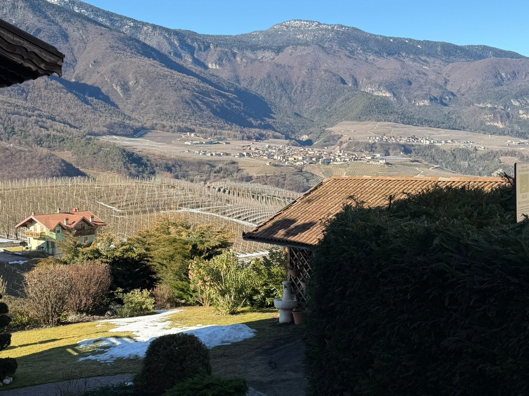 阿尔贝格旧斯波尔旅馆主图