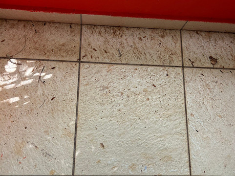 Antilles Exception Martinique-Riviere-Salee必去景点