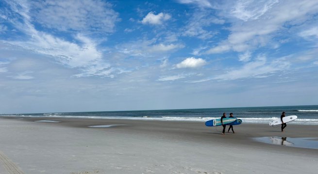 宙斯酒店海王海滩 - 全包-官方
