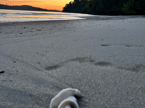 Fluid Adventures Panama-Santa Catalina必去景点