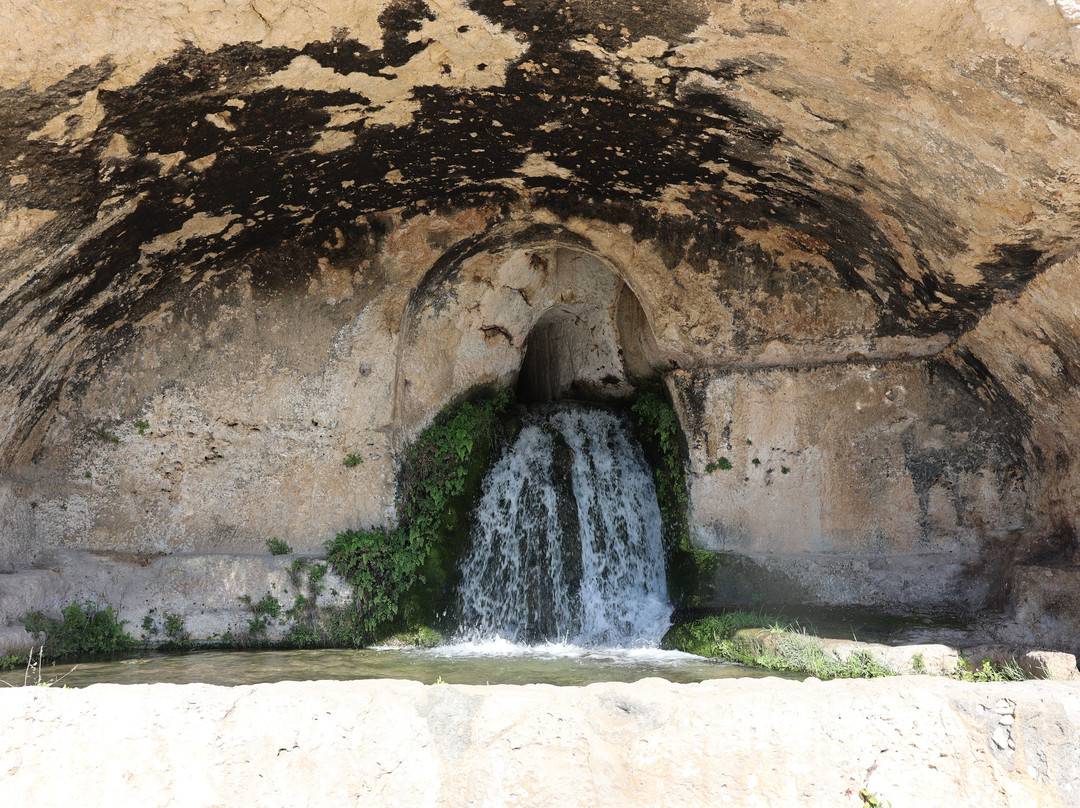 Parco Archeologico della Neapolis-锡拉库扎必去景点