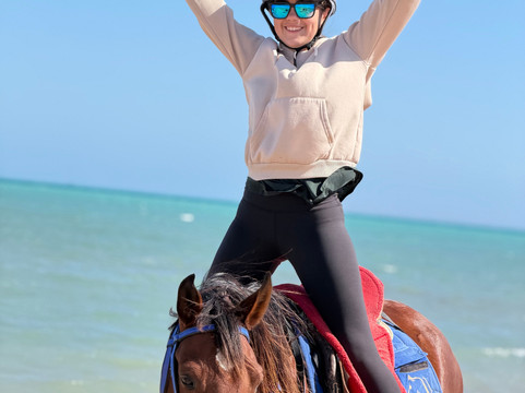 Yallahorse Stable-艾高娜必去景点