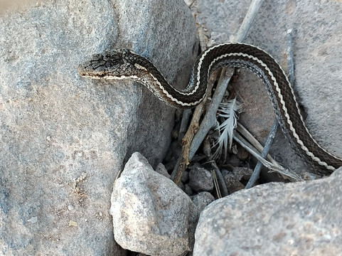 Fragata Yacht-Baltra必去景点