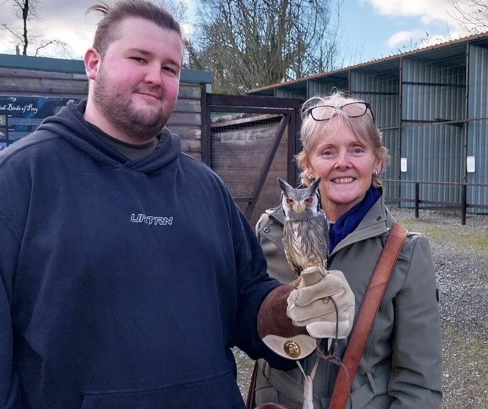 National Bird of Prey Centre-Blessington必去景点