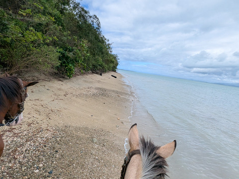 Jurutungo Farm-Florida必去景点