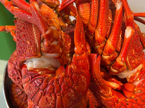 Fiordland Expeditions - Doubtful Sound Overnight Cruises & Multi Day Charters-马纳普里必去景点