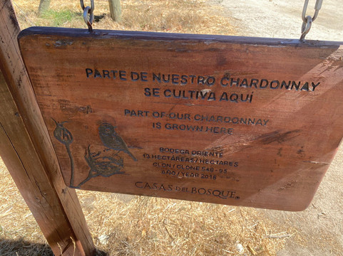 Casas del Bosque-卡萨布兰卡必去景点