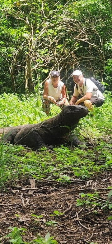 Top Komodo Tours-科莫多必去景点