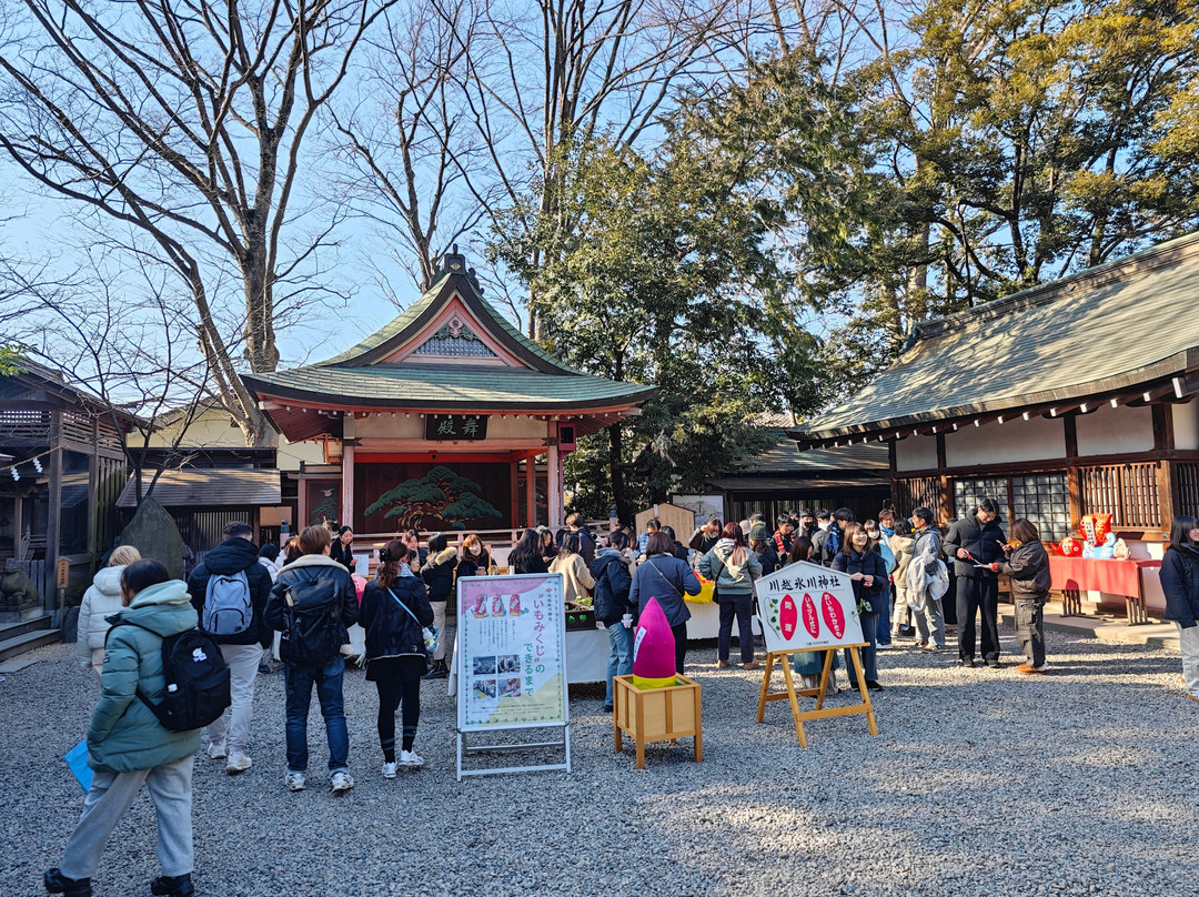 Kawagoe Hikawa Shrine-川越市必去景点
