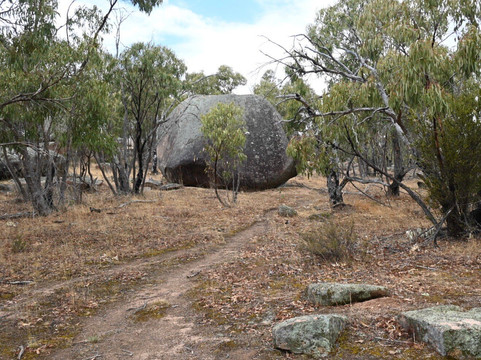 Bunjil's Shelter-维多利亚必去景点