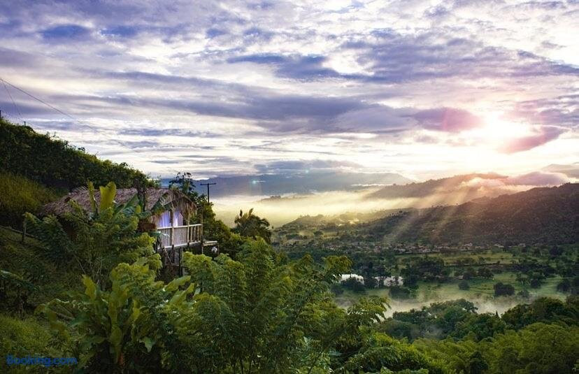 Saray glamping