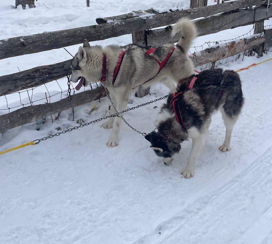 Expedition Wolf-Riviere-Rouge必去景点