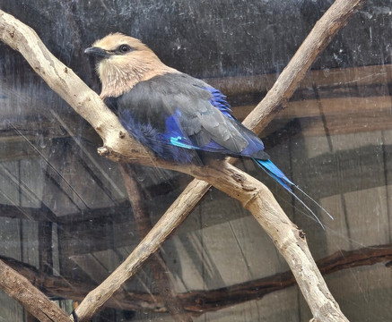 North Florida Wildlife Center-Lamont必去景点