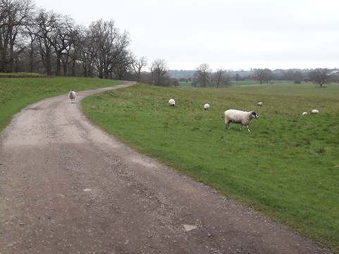 Hanbury Hall-德罗伊特威奇必去景点