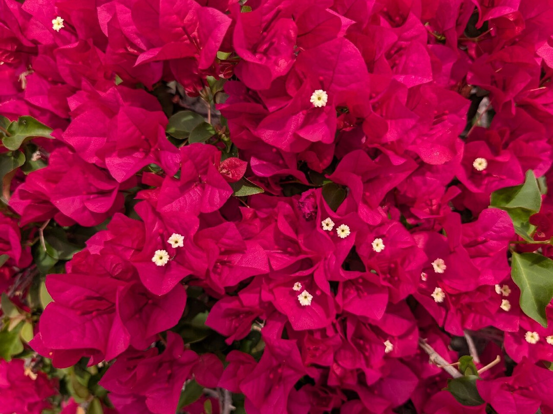 Shangri La River Suites主图