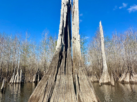 Off The Map Expeditions - Tours-Wewahitchka必去景点