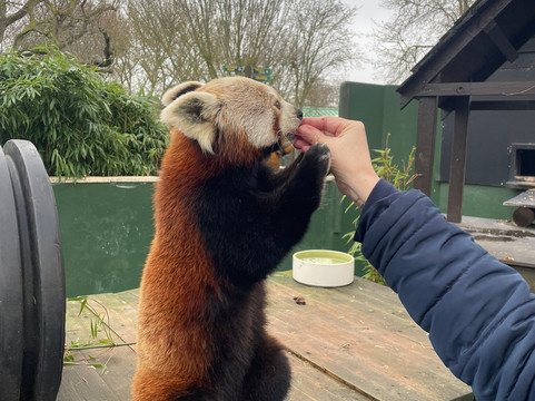 Shepreth Wildlife Park-Shepreth必去景点