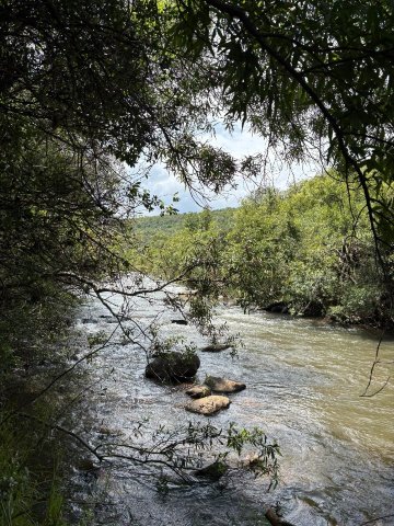 RiverStill Guest Farm-官方