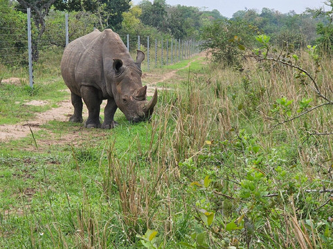 Wild Whispers Africa-马辛迪必去景点