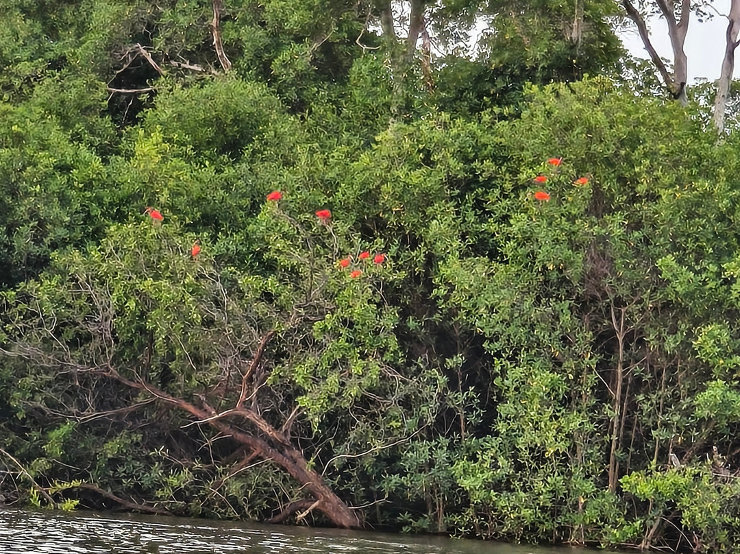 Eco Adventure Tour-Parnaiba必去景点