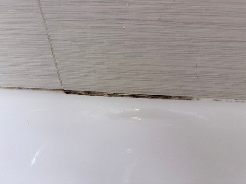 罗切斯特梅奥诊所南拉昆塔温德姆套房酒店主图