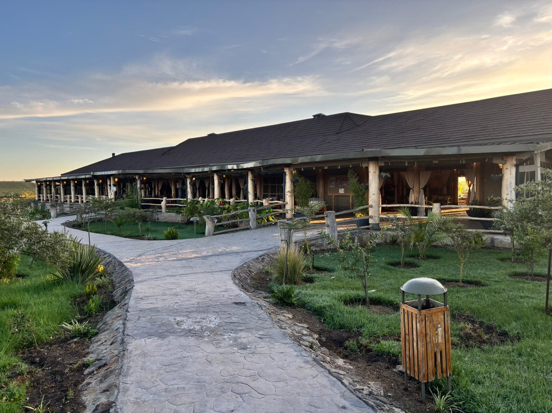 Adept Kenya Safaris-内罗毕必去景点