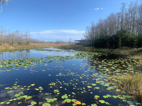 Grassy Waters Nature Preserve-西棕榈滩必去景点