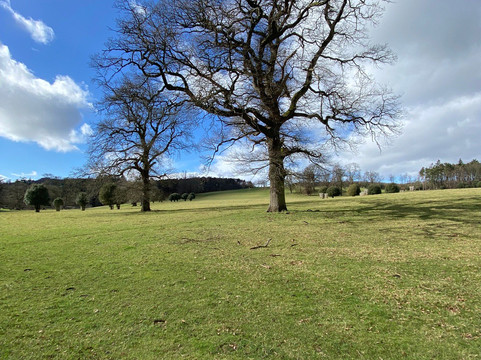 Hulne Park-阿尼克必去景点