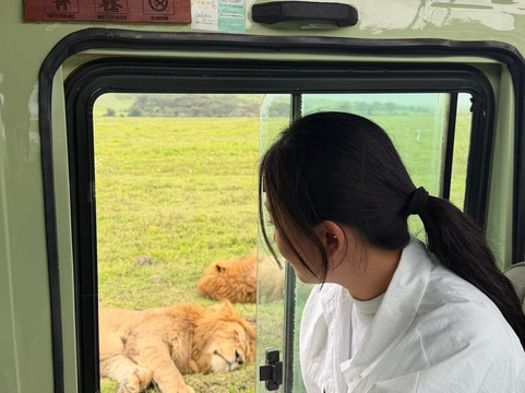 Dolphin Tours & Safaris Ltd-姆万扎必去景点