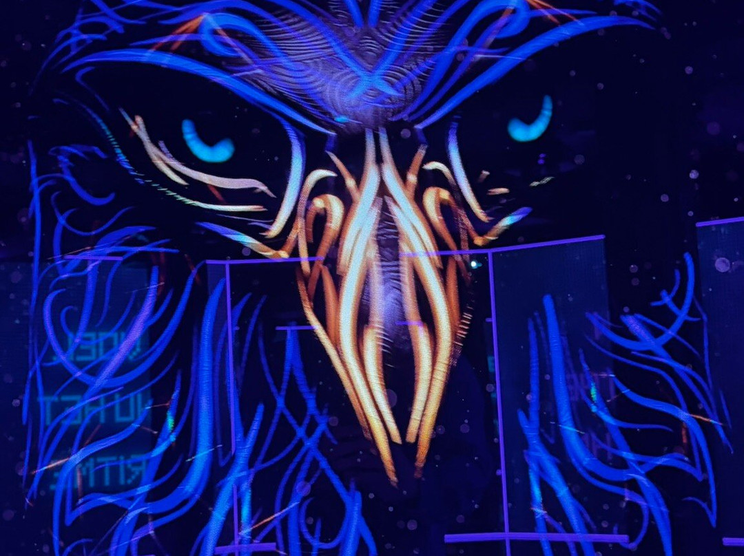 Moir - The Museum Of Infinite Realities-布鲁塞尔必去景点