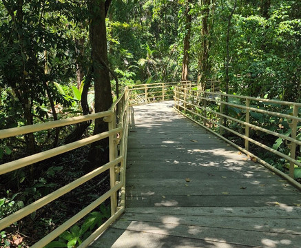 Aracari Experience-乌维塔必去景点