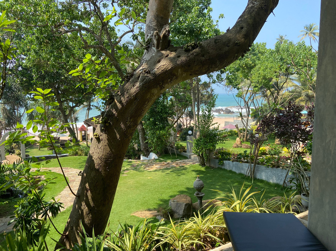 Ayurveda Garden主图