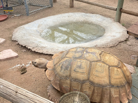Southwest Wildlife Conservation Center-斯科茨代尔必去景点