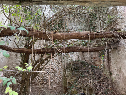 Faraone Vecchio-Sant'Egidio alla Vibrata必去景点