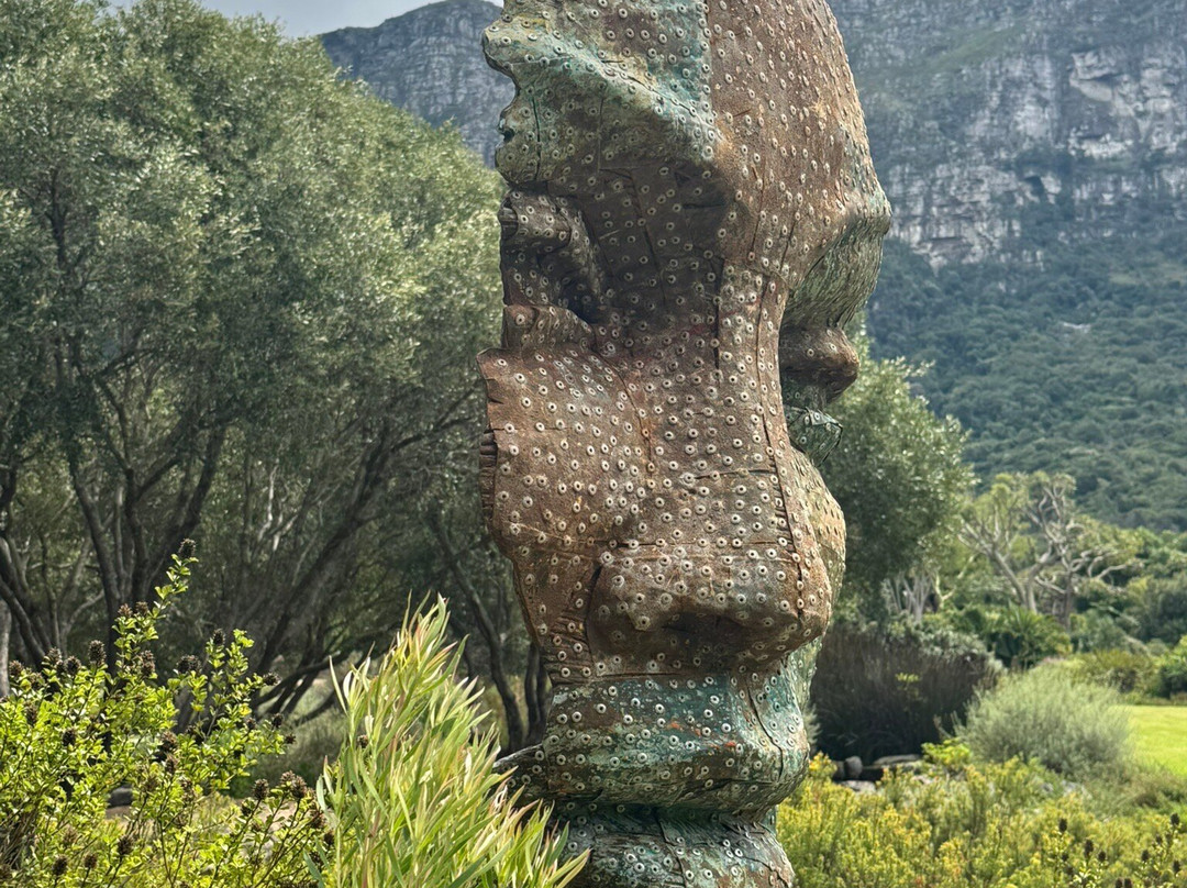 康斯坦博西国家植物园-Newlands必去景点