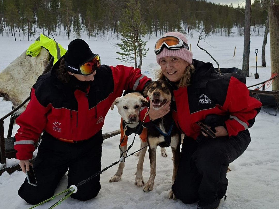 拉普兰之旅-撒利塞卡必去景点