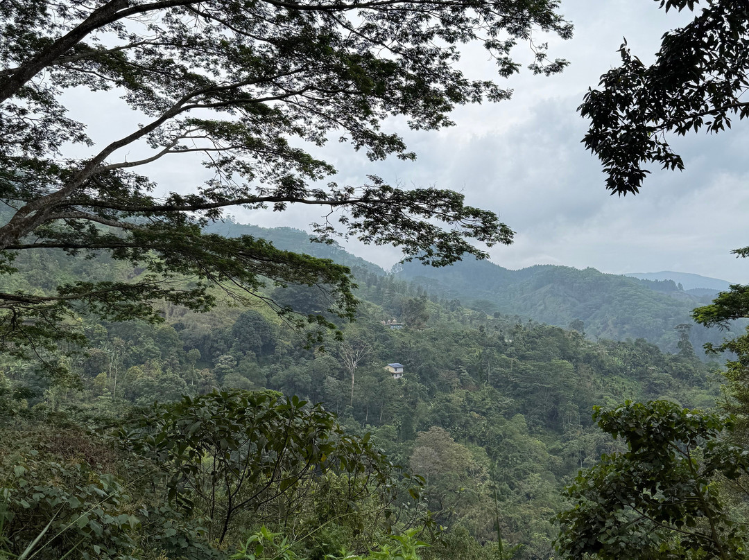 Knuckles Trekking with Gamini-康提必去景点