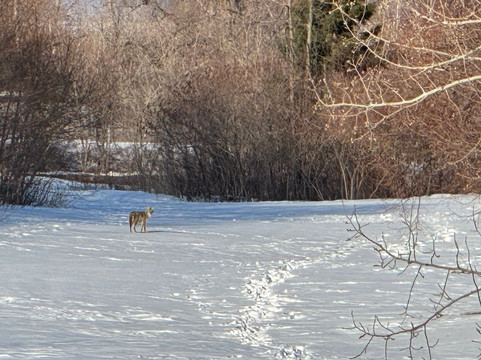 科布尔斯通酒店及套房 - 阿什兰主图