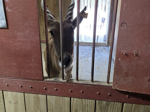 The Wilds-Cumberland必去景点