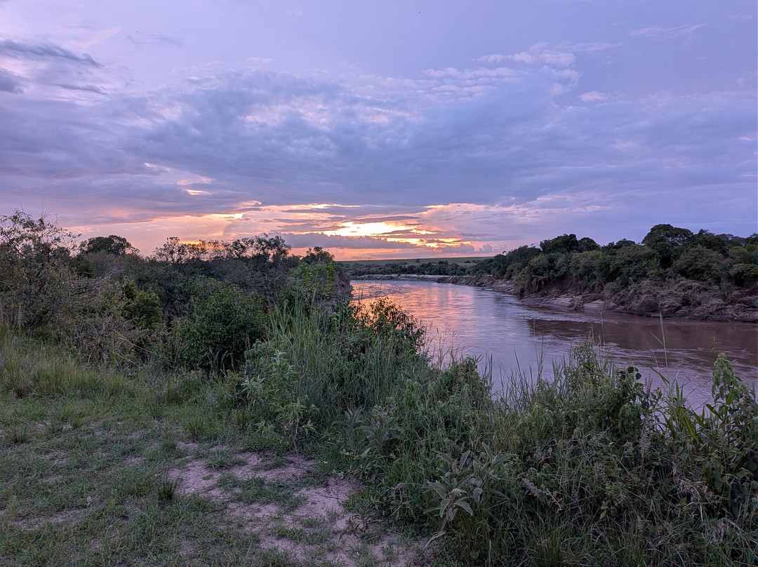 Seringet Mara Camp - Nigel Archer Safaris