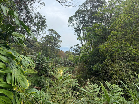 Hawaiian Vanilla Company-帕奥伊洛必去景点