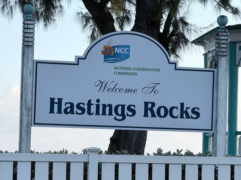 Richard Haynes Boardwalk-Hastings必去景点