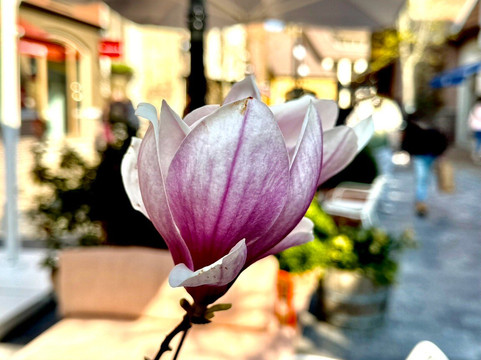 Maasmechelen Village-马斯梅赫伦必去景点