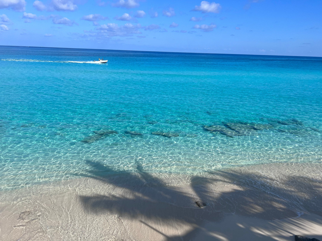 Bimini Splash-Bailey Town必去景点