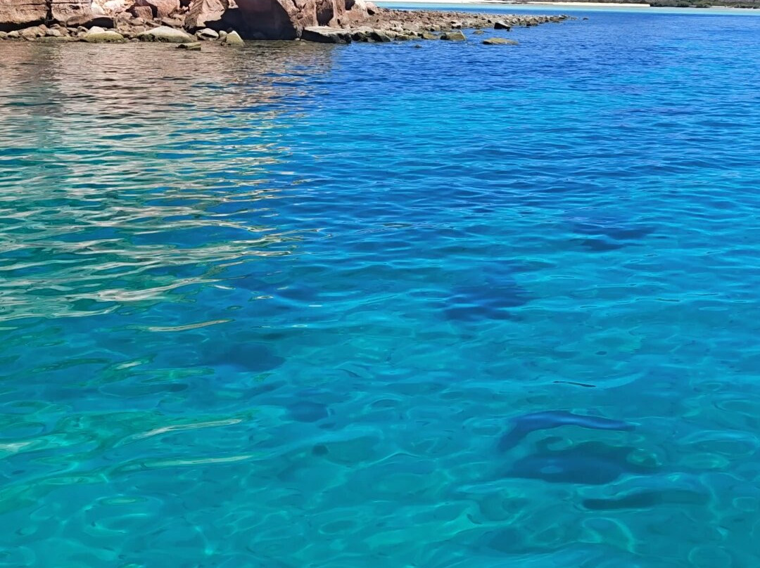 Baja Off Shore-拉巴斯必去景点