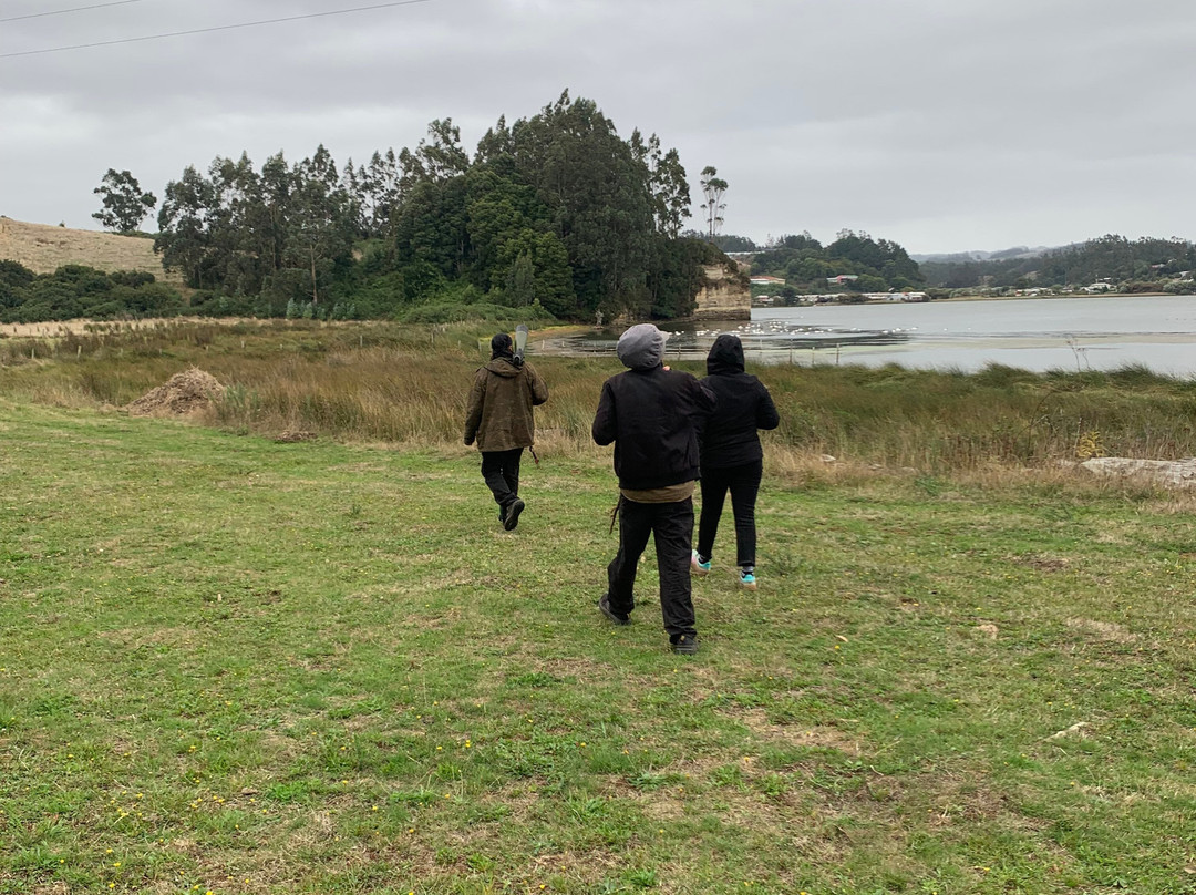 Eco-rutero-Puerto Saavedra必去景点