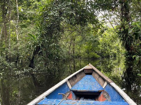 Expeditions George of the Jungle-莱蒂西亚必去景点