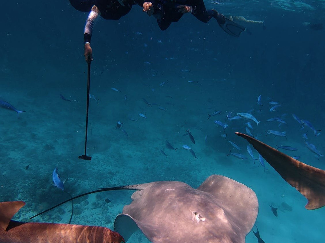 Papa Fish Excursions-乌库拉斯必去景点