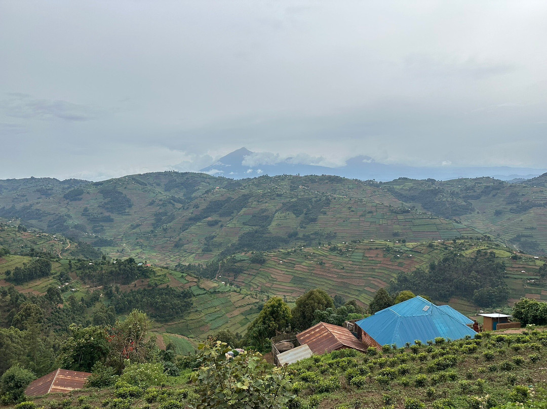 Taffies Safaris-坎帕拉必去景点