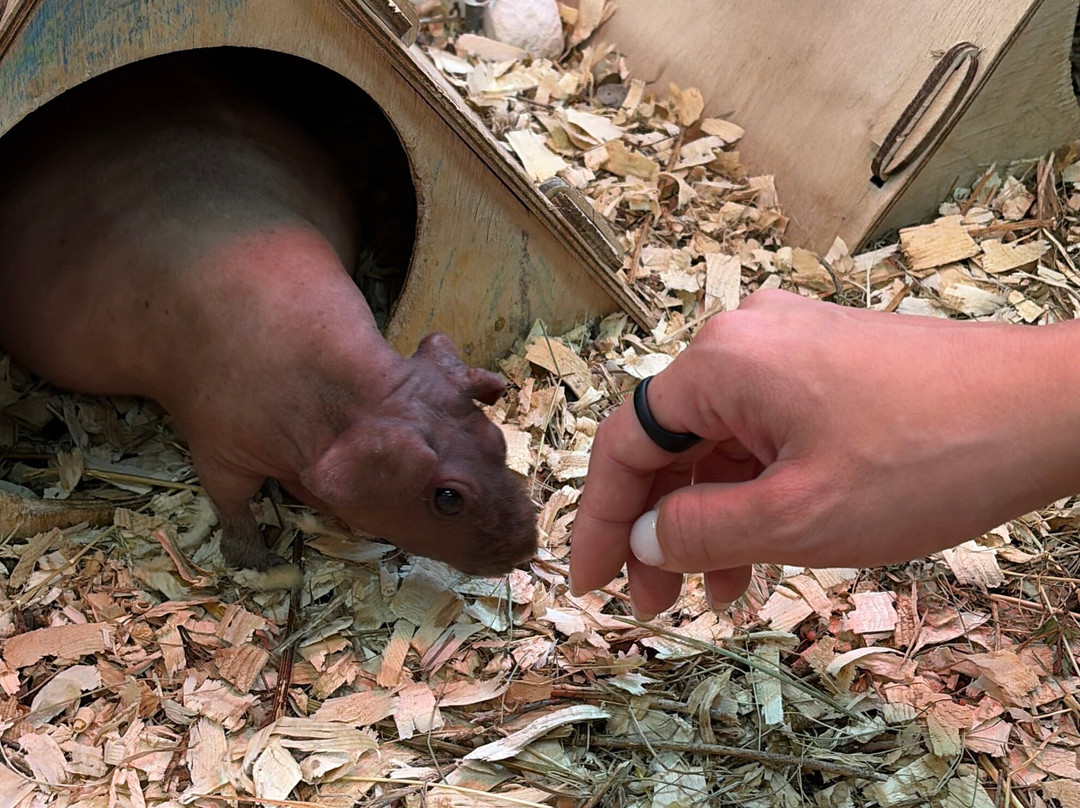 Strana Enotiya-克拉斯诺亚尔斯克必去景点